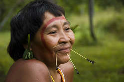 Сегодня в Бразилии проживает около 305 племен, что составляет около 900 000 человек, или 0,4% населения Бразилии